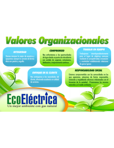 Valores Organizacionales Ecoeléctrica